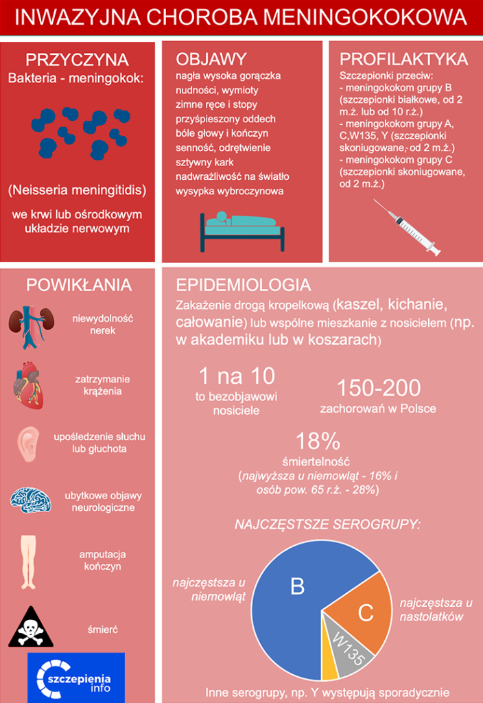 Meningokoki - IChM i profilaktyka Infografika